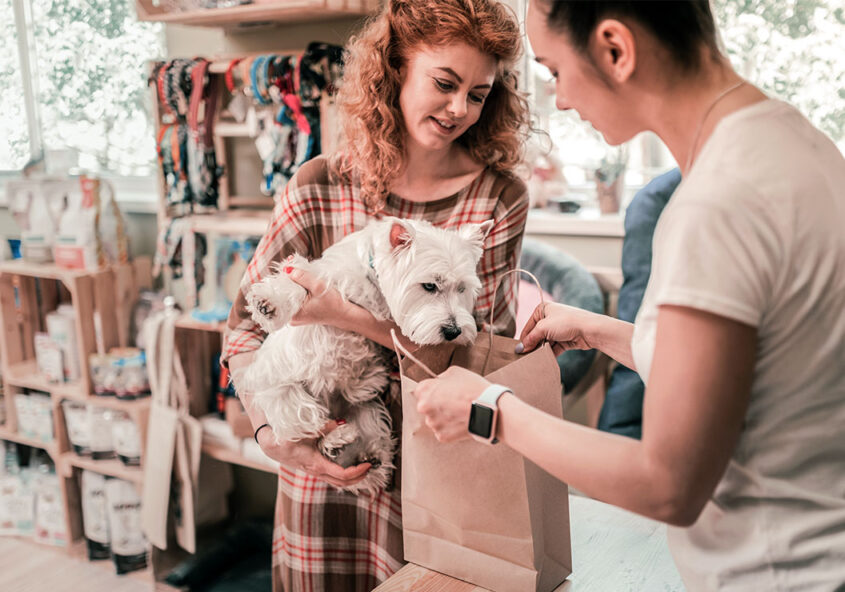 Brändin asiakasrekisteri on helppo rakentaa Intellipocketin mobiilin Saas-palvelun avulla. Intellipocket Loyalty on kanta-asiakasjärjestelmä jonka avulla brändiyhritys pystyy nopeasti rakentmaan brändin asiakasrekisterin.