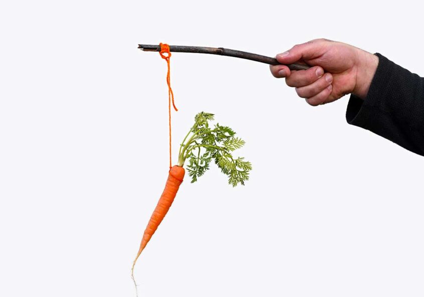 Brändiyrityksen jälleenmyynnin kehittäminen - mittarit, johtaminen ja brändin kehittäminen